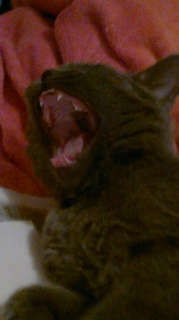 Диана Исламгулова | Уфа