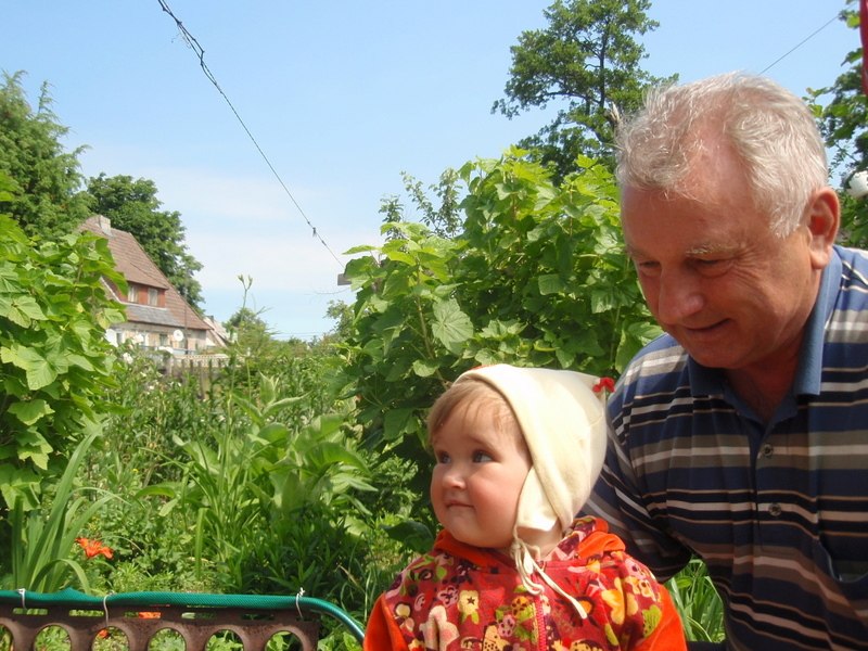 Владимир Вольпе | Санкт-Петербург