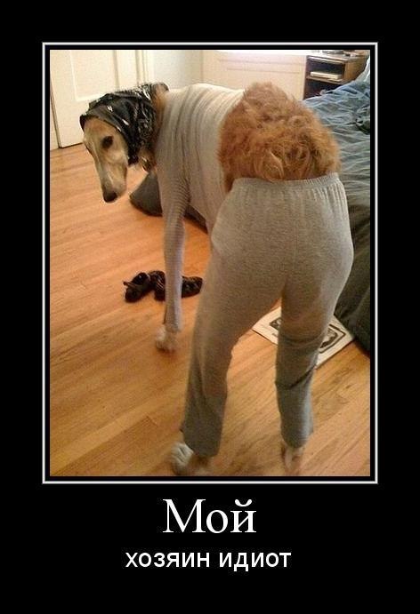 Светлана Матильдовна | Москва