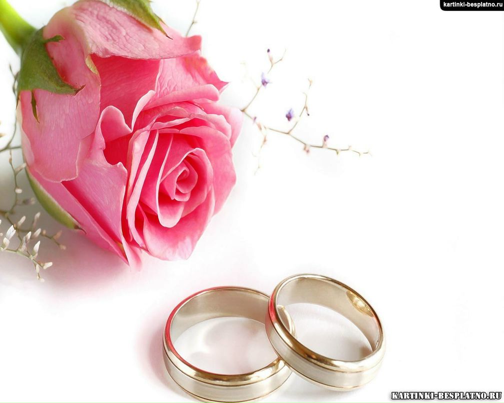 Сергей Лунгул | Тирасполь