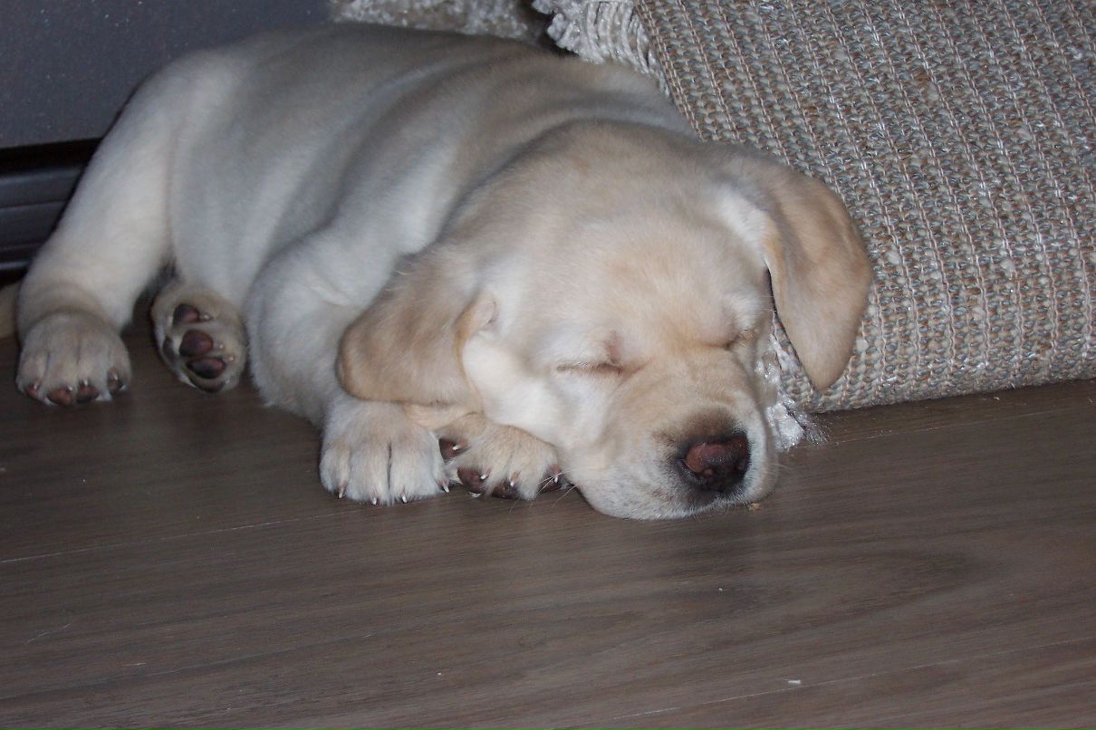 Анастасия Хлопова | Киров