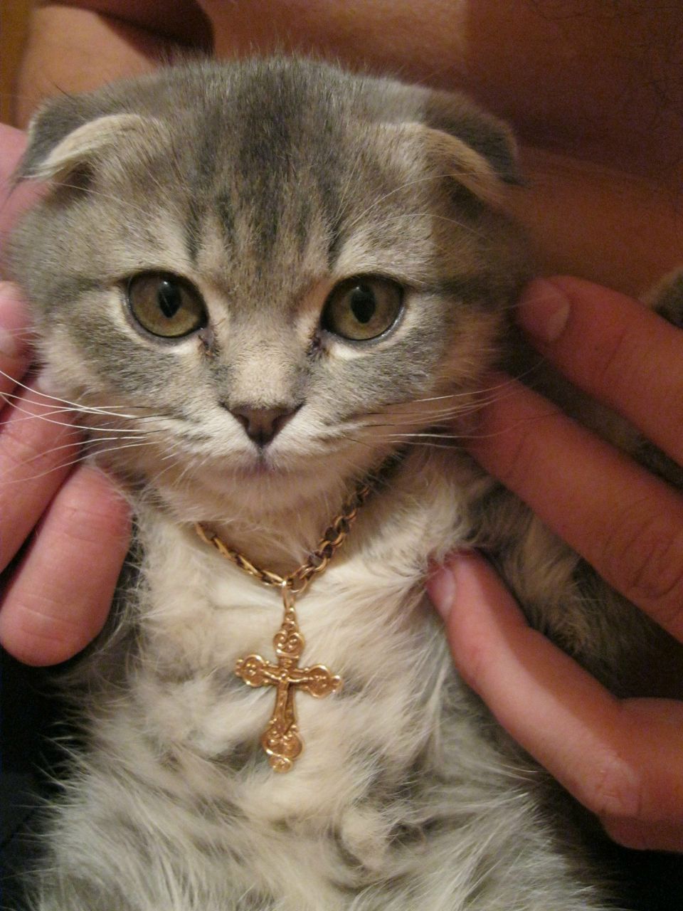 Юрий Кубышев | Грайворон