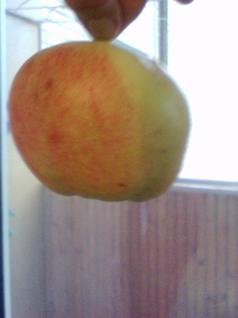 Роза Зеленая | Чехов