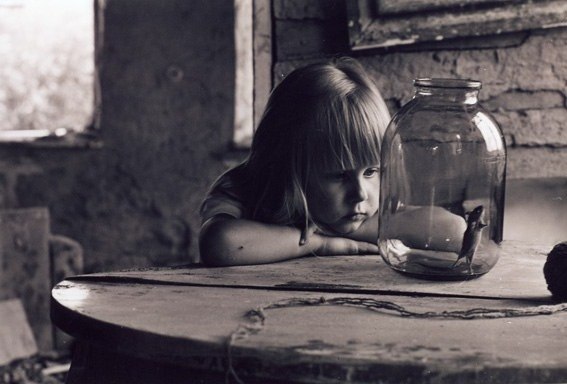 Александр Ковалёв | Ростов-на-Дону