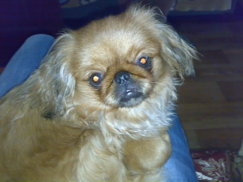 Максим Коверник | Сумы