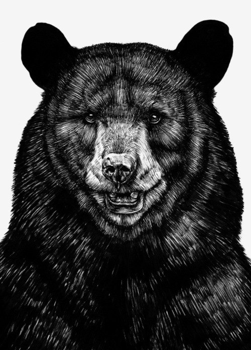 Vlad Заводчиков (Mr. Brightside) | Sydney