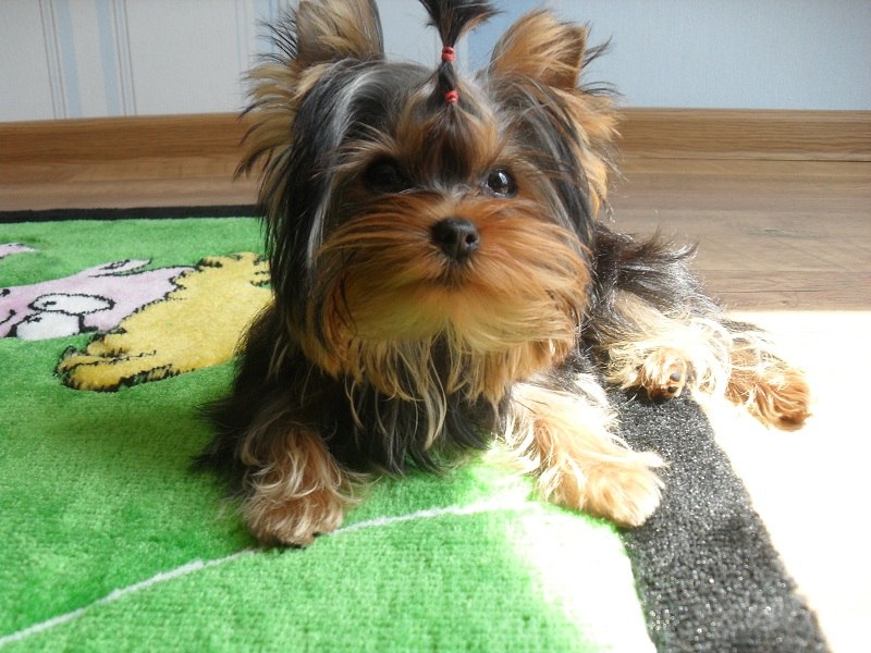 Надя Черныш | Винница