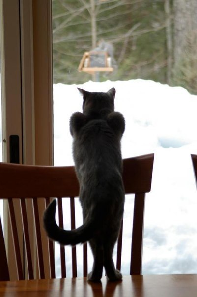 Светлана Гилязева | Когалым