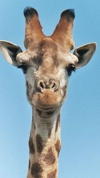 Настюша Мачулина | Москва