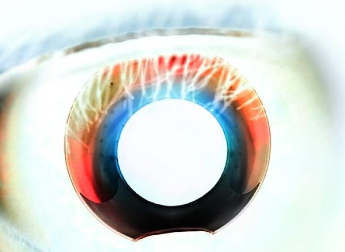 Taras Martsiyash | Williamsburg