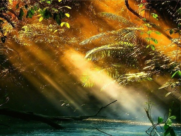 Марина Емцева | 