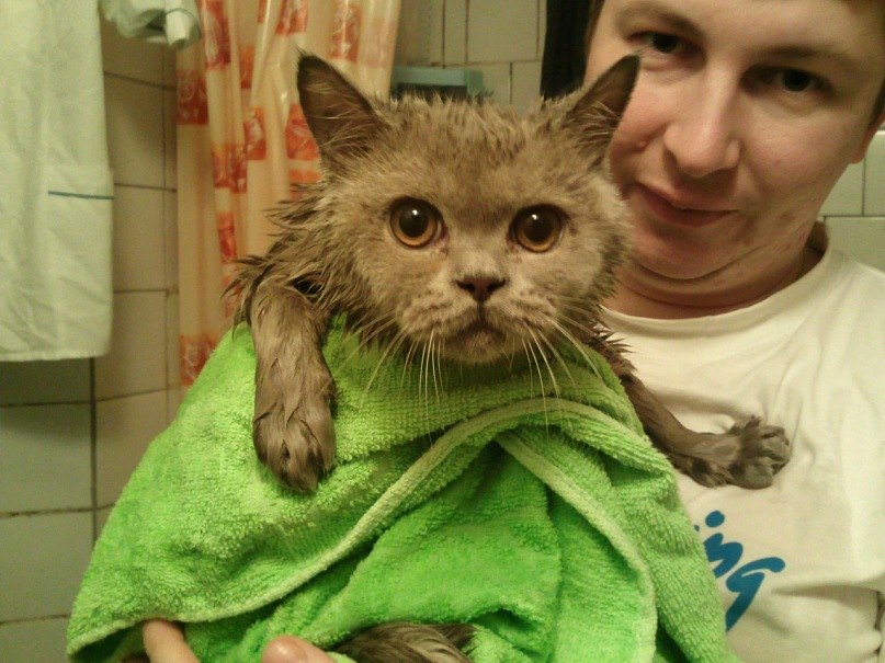 Константин Жуков | Санкт-Петербург