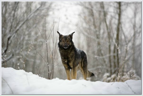 №68, Лена Helen, Москва №68, Лена Helen, Москва