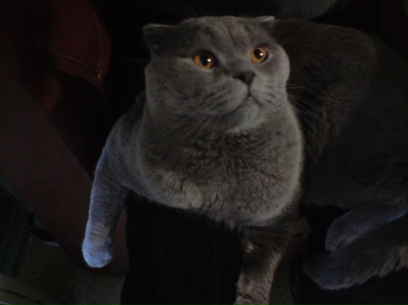 Александр Бульбин | Москва