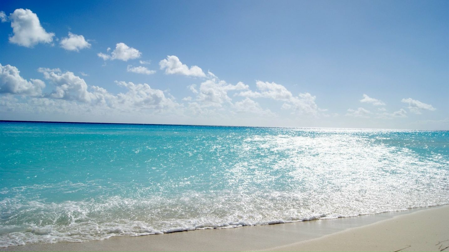 Лера Петренко | Чернигов