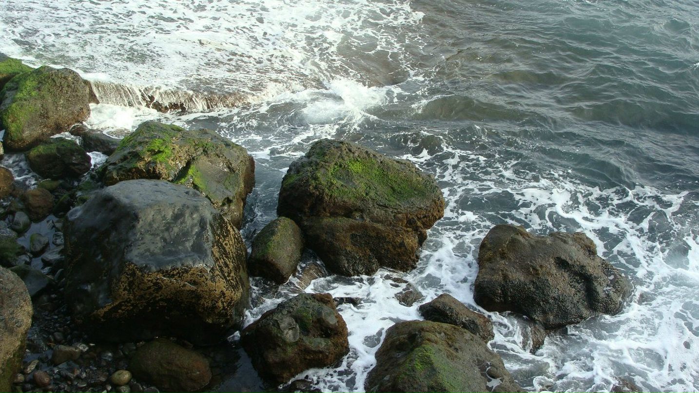 Владимир Лукин | Санкт-Петербург