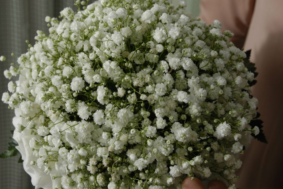 Сніжана Кошель | Киев