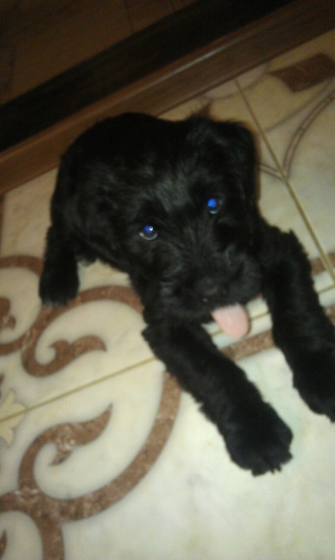 Геннадий Мандретов | Харьков