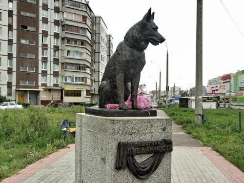 №101, Ольга Ляпина, Вологда №101, Ольга Ляпина, Вологда