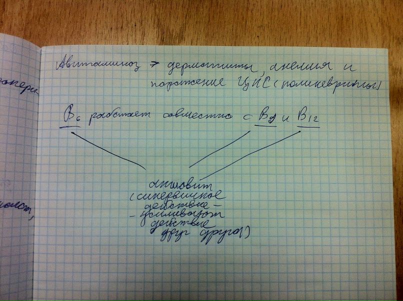 Эльтаир Дженкинс | Санкт-Петербург