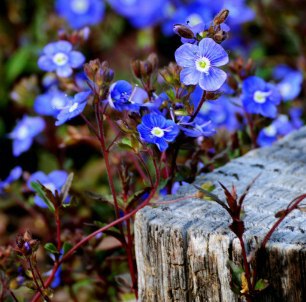 №54, Елена Яцкевич, 38 лет, Минск №54, Елена Яцкевич, 38 лет, Минск