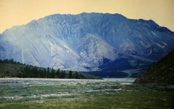 №15, Artem Tenkeli №15, Artem Tenkeli