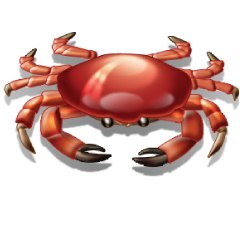 Андрей Рожков | Санкт-Петербург