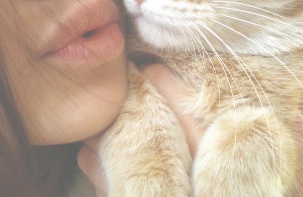 Яна Гостева | Липецк