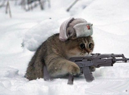 Михаил Ермолаев | Екатеринбург