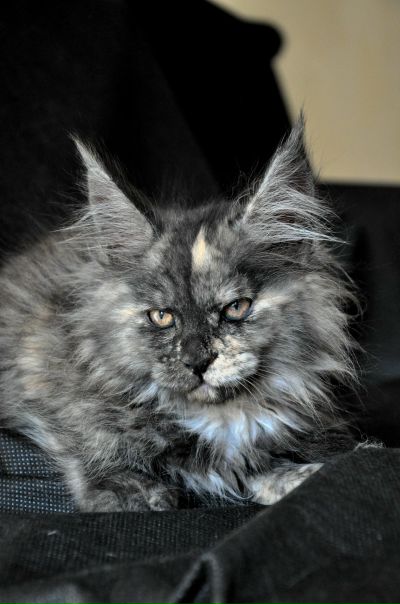 №182, Аня Григорьева, 48 лет, Одесса №182, Аня Григорьева, 48 лет, Одесса