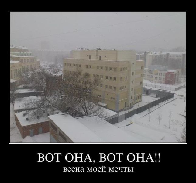 Денис Петров | Москва