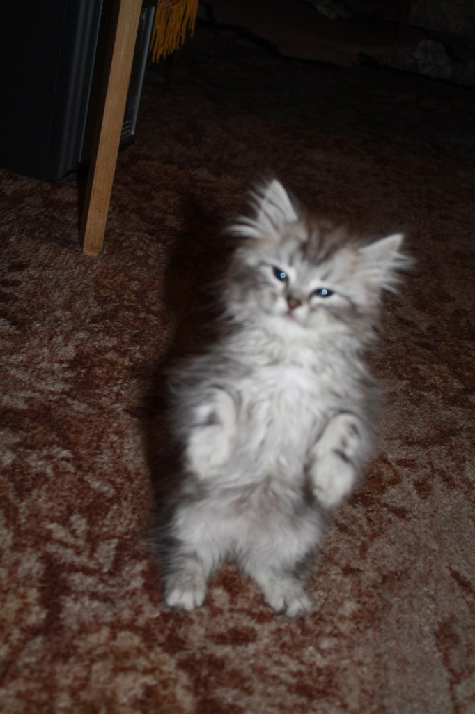 Анна Закирова | Казань