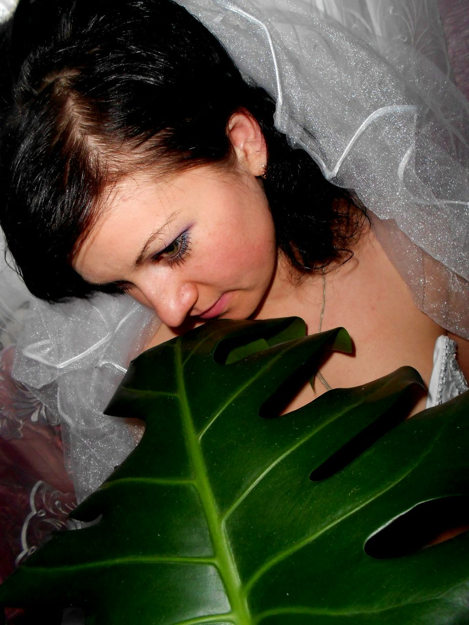 Елена Нагорна | Славута