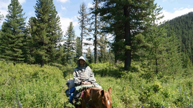 Николай Щуков | Томск