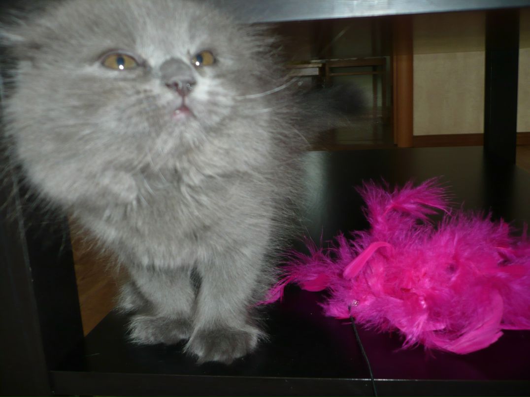 Лилия Акишина | Новосибирск