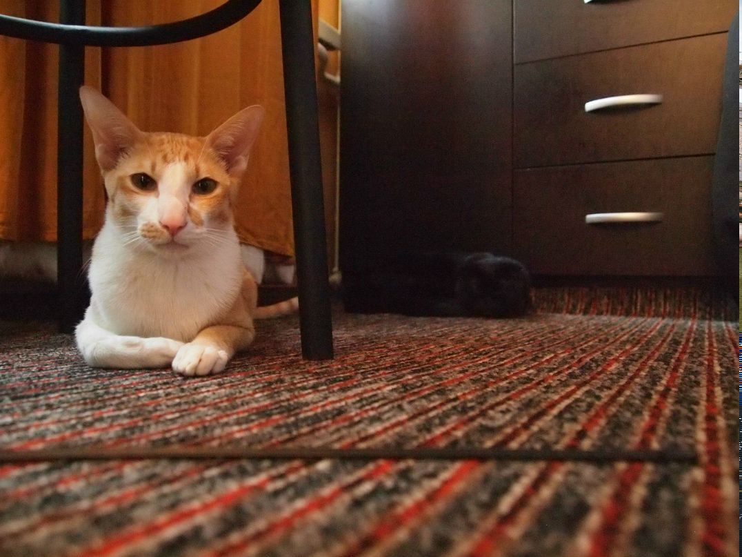 Катя Потапова | Москва