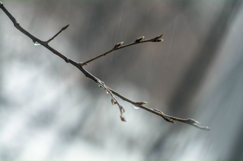 Владимир Щукин | Саранск