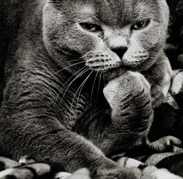 Павел Романченко ...подожди-подожди... | Нижний Новгород