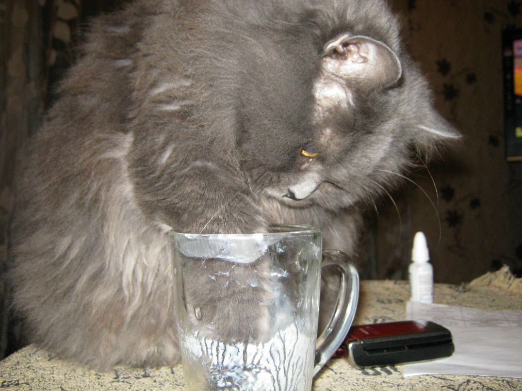 Алла Леонова(Карпухина) | Санкт-Петербург