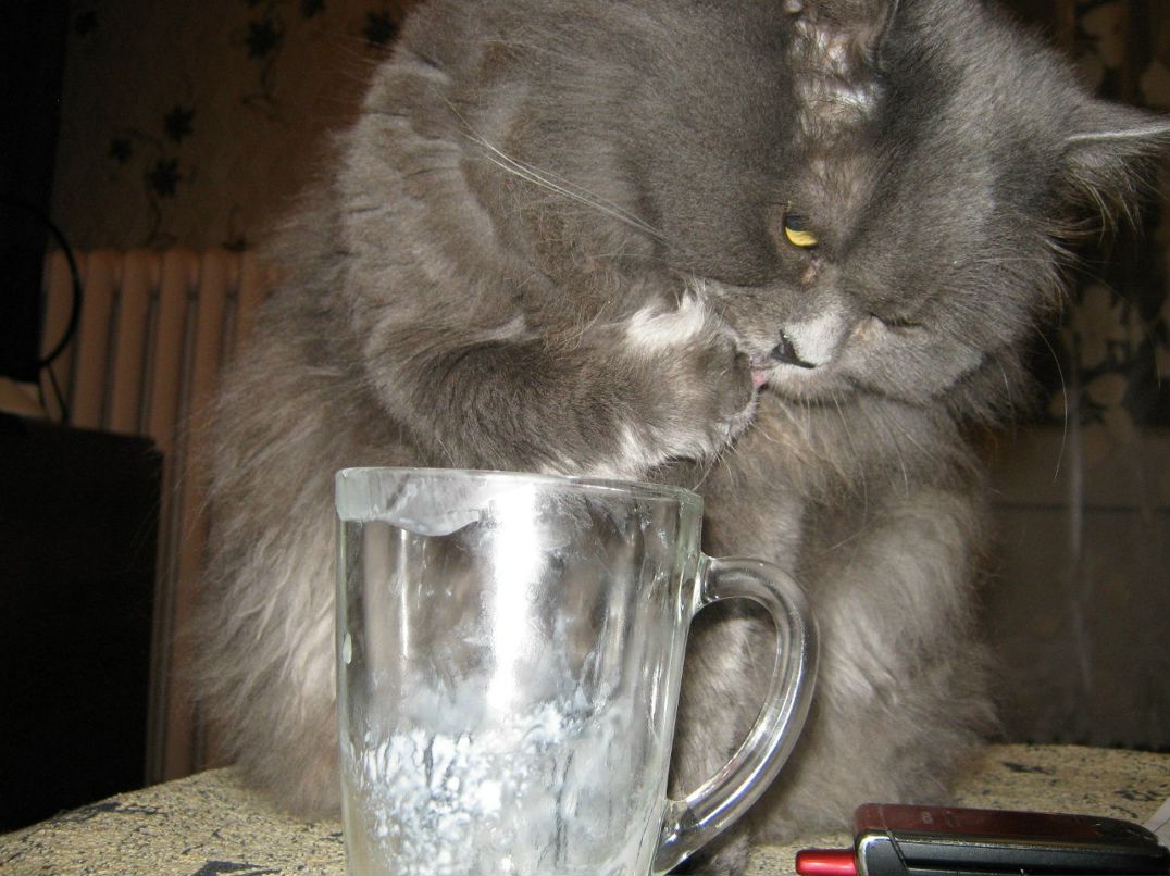 Алла Леонова(Карпухина) | Санкт-Петербург