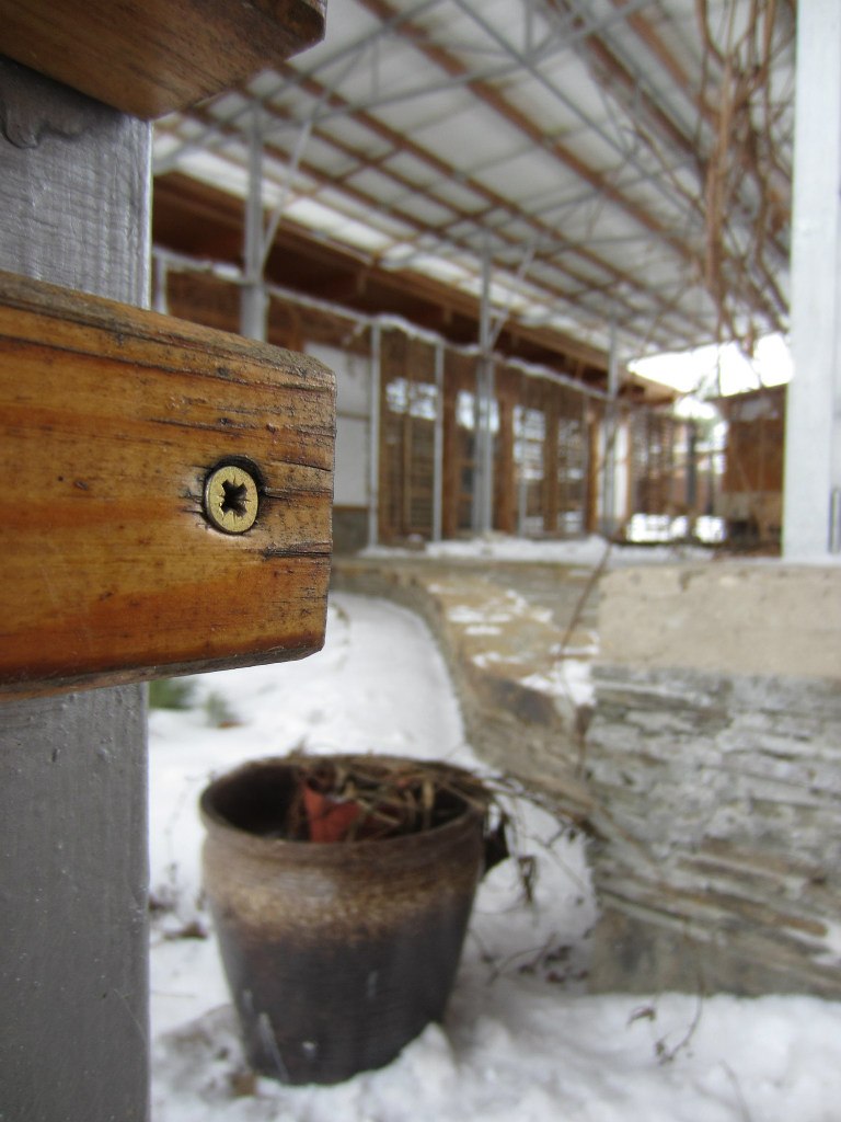 Юлия Мокеева | Москва