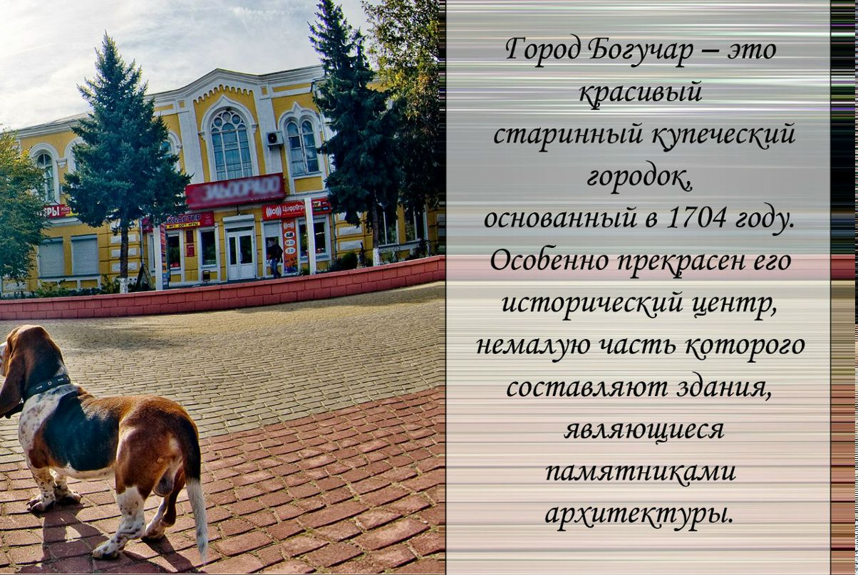 Евгений Коньяк | 