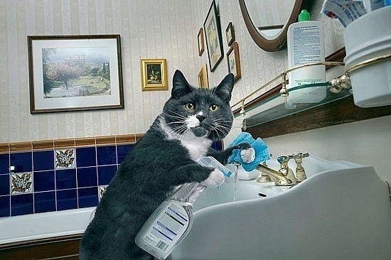 Neil Perry Ҍ | Cartagena de Indias