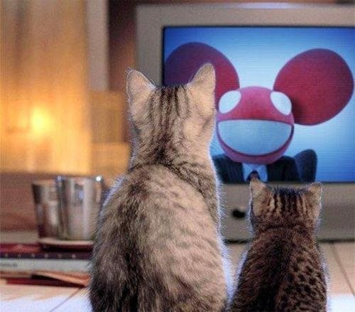 Igor Podgayniy | Москва