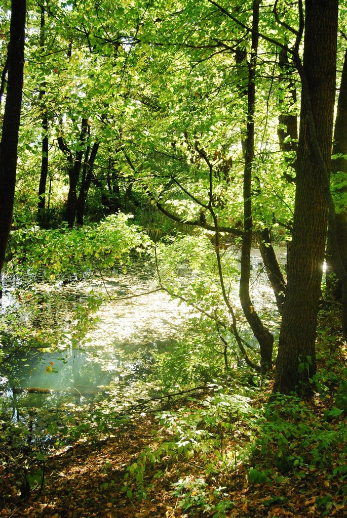 Варвара Колесник Demoni | Ростов-на-Дону