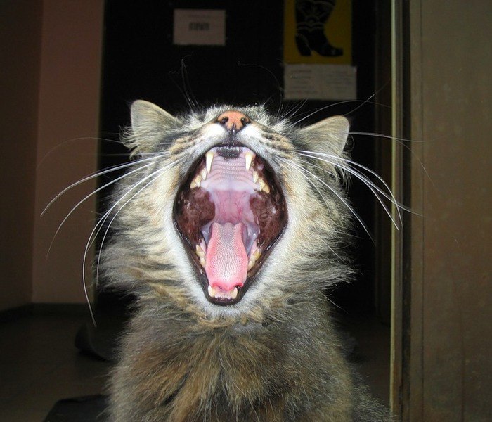 Настюша Новикова | Москва