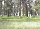 Фотография Анатолий Потапов