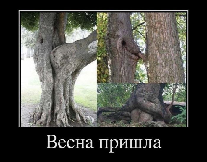 Рамиль Заляев Маратович | Казань