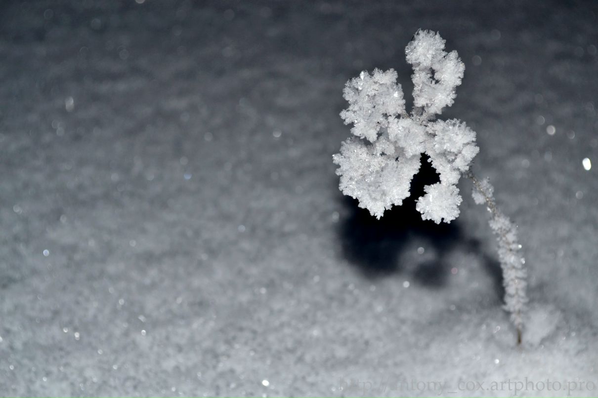 Antonina Kuznetsova | Москва