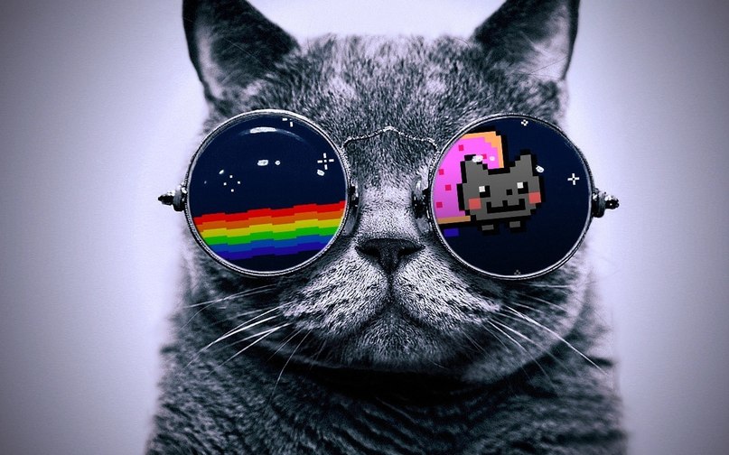 Дима Кожухов | Великий Новгород